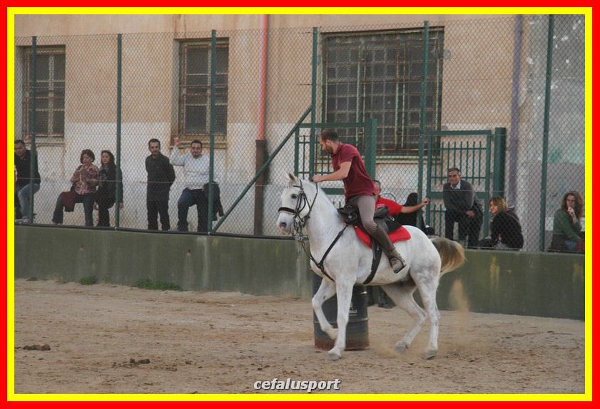 161106 equestre 014_tn.jpg